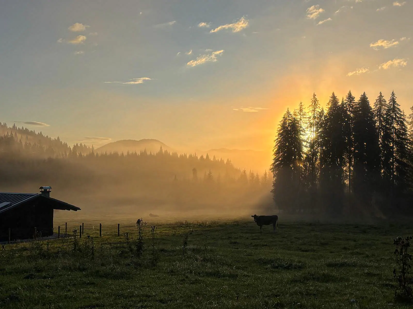 Foto Aktuelles_Wittig